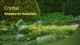  Presentation with plants - PPT layouts having summer-garden-with-nice-plants background and a tawny brown colored foreground