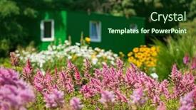  Presentation with summer flowers - Slide deck consisting of summer-garen-with-nice-flowers background and a forest green colored foreground