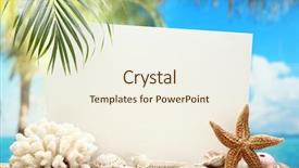  Presentation with blank - Beautiful PPT layouts featuring summer holiday - blank paper card and seashells backdrop and a cream colored foreground