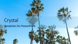  Presentation with summer trees - Cool new PPT theme with summer holidays concept - palm tree backdrop and a light blue colored foreground