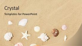  Presentation with holidays - Beautiful presentation featuring summer holidays concept - seashells backdrop and a lemonade colored foreground