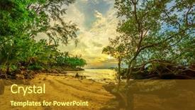  Presentation with shells beach summer holiday - Amazing slide deck having summer holidays travel tropical beach backdrop and a tawny brown colored foreground