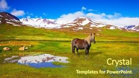  Presentation with green lake - Slide deck enhanced with summer iceland small lake surrounded by green fields chestnut icelandic horse grazing in the meadow background and a tawny brown colored foreground