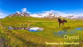  Presentation with green lake - Beautiful PPT theme featuring summer iceland small lake surrounded by green fields bay icelandic horse grazing in the meadow backdrop and a tawny brown colored foreground