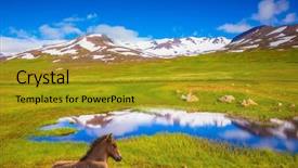  Presentation with green lake - Amazing presentation theme having summer iceland small lake among fields of green grass at the water resting beautiful icelandic horse backdrop and a gold colored foreground