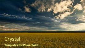  Presentation with sunflowers - Cool new PPT layouts with summer-landscape-beauty-sunset-over backdrop and a tawny brown colored foreground