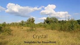  Presentation with summer - Theme with summer-landscape-in-ukrainian-steppe background and a gold colored foreground