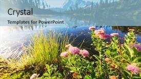  Presentation with winery washington - PPT theme featuring summer landscape mountains - mount shuksan washington background and a  colored foreground