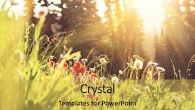  Presentation with meadow - Cool new PPT theme with summer landscape mountains - mountain meadow in sunny day backdrop and a yellow colored foreground