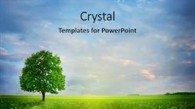 Presentation with solar tree evening landscape - Amazing presentation theme having summer landscape solitary tree backdrop and a light blue colored foreground
