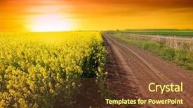  Presentation with mustard seeds yellow flowers - Colorful presentation design enhanced with summer landscape with a field backdrop and a tawny brown colored foreground