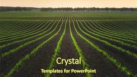  Presentation with corn field - Presentation theme with summer landscape with a field background and a tawny brown colored foreground