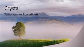  Presentation with processing - Cool new slide deck with summer landscape with a lone tree morning in a mountain village collage of two frames art processing photos backdrop and a light gray colored foreground