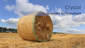  Presentation with hay field - Slide deck featuring summer-landscape-with-hay-rolls background and a light blue colored foreground