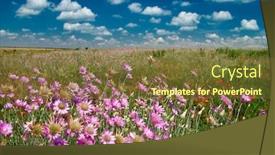  Presentation with pink sky - Cool new slides with summer landscape with pink wildflowers and blue sky backdrop and a tawny brown colored foreground