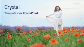  Presentation with lavender flowers border - Presentation theme enhanced with summer landscape with red poppy background and a sky blue colored foreground