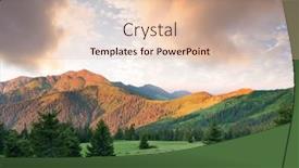  Presentation with spruce - 