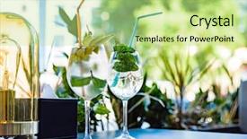  Presentation with summer camp volunteer orientation - PPT theme consisting of summer lemonade in the cafe background and a mint green colored foreground