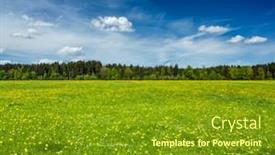  Presentation with bavaria - Audience pleasing presentation design consisting of summer-meadow-bavaria-germany backdrop and a gold colored foreground