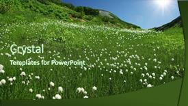  Presentation with weather aesthetic - Cool new presentation theme with summer meadow in sunny weather backdrop and a  colored foreground