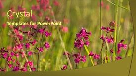  Presentation with pink flowers - PPT layouts featuring summer-meadow-with-pink-flowers background and a tawny brown colored foreground