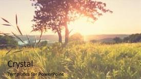  Presentation with meadow - Slide set with summer meadow background and a gold colored foreground