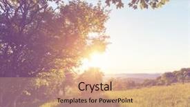  Presentation with meadow - Presentation theme having summer meadow background and a coral colored foreground