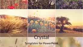  Presentation with collage of a forest - Slide set consisting of summer-meadows-collage background and a coral colored foreground