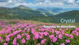  Presentation with summer flowers - Cool new slide set with summer-mountain-landscape-with-beautiful backdrop and a ocean colored foreground