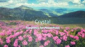  Presentation with summer flowers - Audience pleasing presentation consisting of summer-mountain-landscape-with-beautiful backdrop and a ocean colored foreground