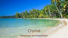  Presentation with summer trees - Audience pleasing slides consisting of summer nature scene tropical beach backdrop and a lemonade colored foreground