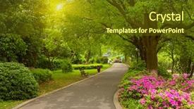  Presentation with summer - Theme having summer park road background and a tawny brown colored foreground