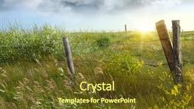  Presentation with country - Amazing PPT theme having old country fence backdrop and a lemonade colored foreground