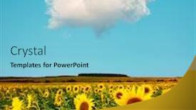  Presentation with agrarian - Presentation theme with summer-scene-with-bright-yellow background and a light blue colored foreground