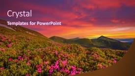  Presentation with illuminated - Presentation theme featuring summer-scene-with-flowering-hills background and a violet colored foreground