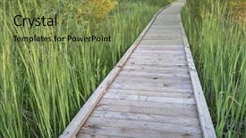 Presentation with swamp - Slide set consisting of summer scenery - a journey metaphor background and a tawny brown colored foreground