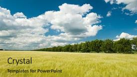  Presentation with sun blue sky and ocean - Slide deck enhanced with summer season - sunny wheat field and blue background and a  colored foreground