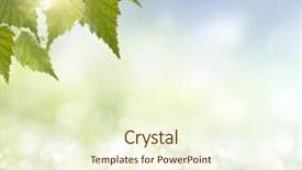  Presentation with spring nature grass - Presentation design consisting of summer season abstract nature background background and a cream colored foreground