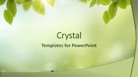  Presentation with abstract spring green - Beautiful presentation theme featuring summer season abstract nature background backdrop and a soft green colored foreground