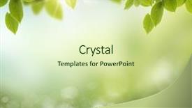  Presentation with summer - PPT theme featuring summer season abstract nature background and a soft green colored foreground