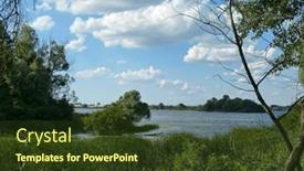  Presentation with plants - Slide deck featuring summer-shore-of-a-forest background and a tawny brown colored foreground