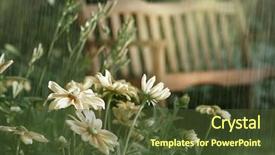  Presentation with april showers - Amazing slides having summer showers in the late backdrop and a tawny brown colored foreground