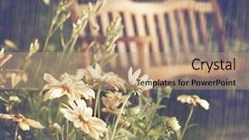  Presentation with late childhood - Theme having summer showers in the late background and a coral colored foreground