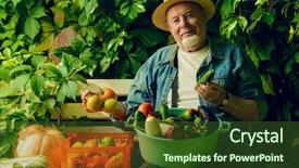  Presentation with vegetable gardening - PPT theme having growing old - happy senior man with great background and a tawny brown colored foreground