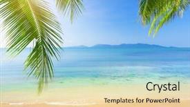  Presentation with beach palm tree wedding - Slides enhanced with summer sun - palm and tropical beach background and a  colored foreground