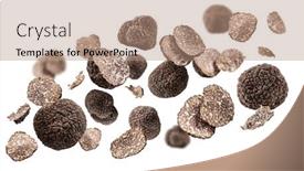  Presentation with summer - Slide deck featuring summer-truffles-and-truffle-slices background and a coral colored foreground