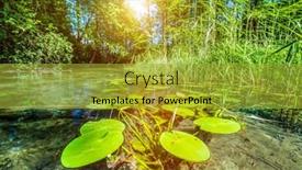  Presentation with water river - Presentation design consisting of view of a narrow river background and a gold colored foreground