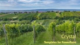  Presentation with vineyard - Colorful PPT theme enhanced with summer-vineyard-nearby-strekov-southern backdrop and a tawny brown colored foreground