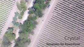  Presentation with region - Beautiful PPT theme featuring summer-vineyard-shot-drone-aerial backdrop and a light gray colored foreground