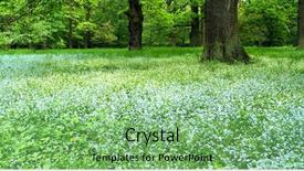  Presentation with mystic - Slides featuring summer wide screen - mystic meadow in an oaks background and a  colored foreground